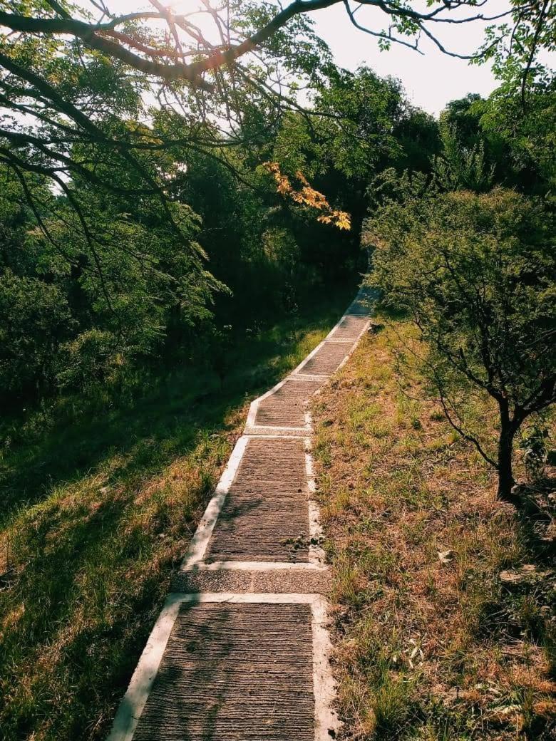 Peperina Molinos * Villa Ciudad de América